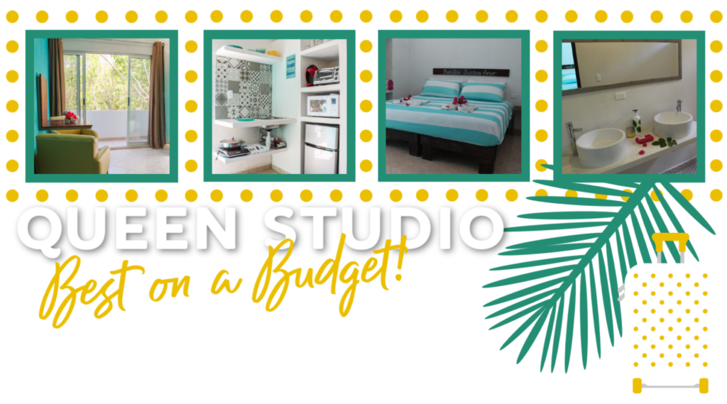 Queen Studio - 
Best on a Budget!